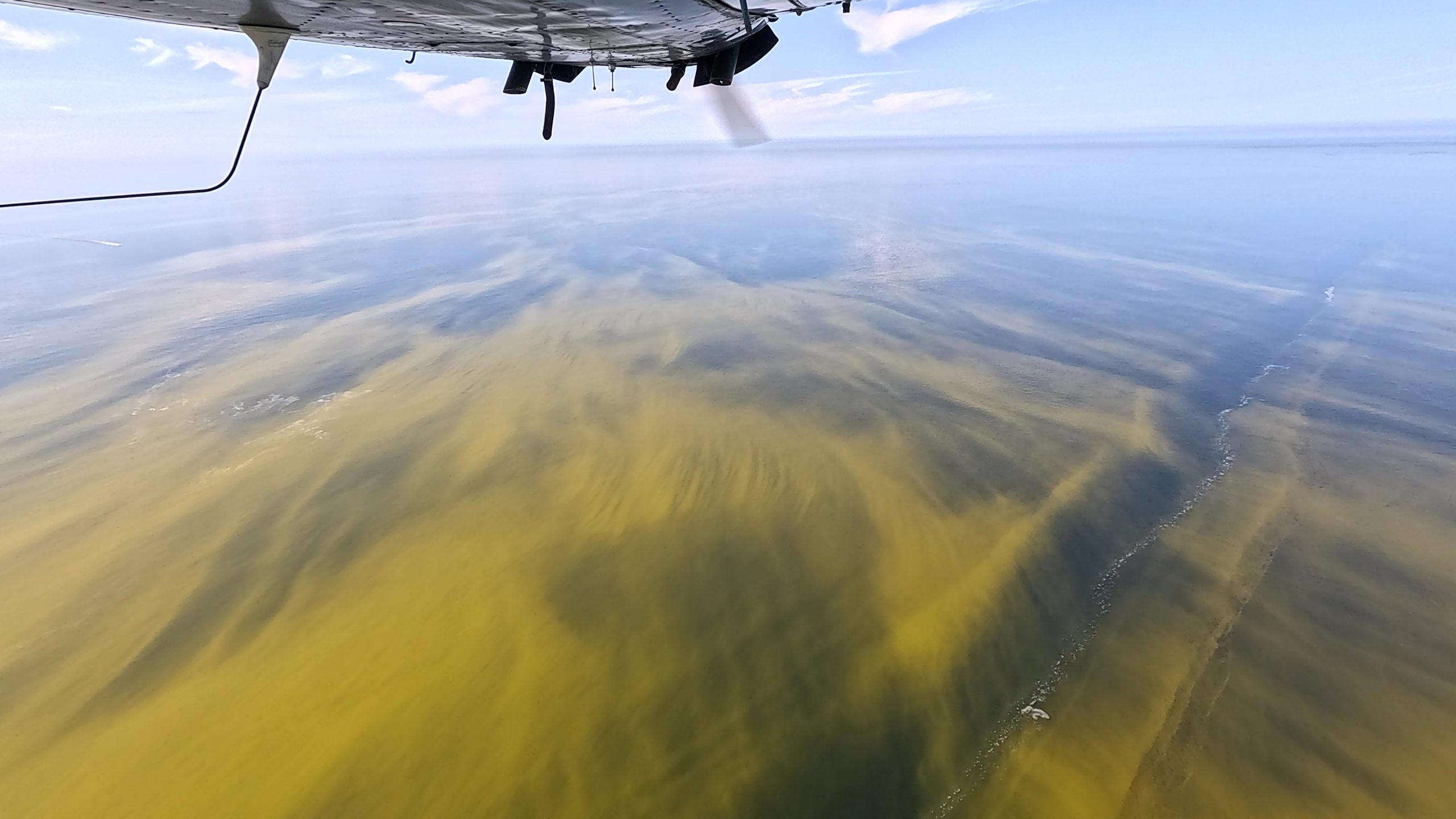 Image taken from the cabin of a small airplane of red tide growth.